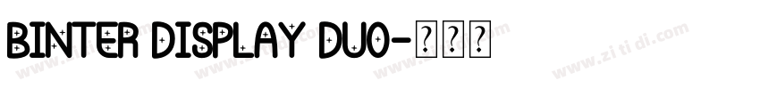 binter display duo字体转换